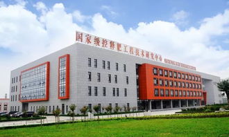 利辛農(nóng)民,土壤可以通過修復,實現(xiàn)作物高產(chǎn),金正大國際富朗產(chǎn)品將在利辛,開啟親土種植新時代